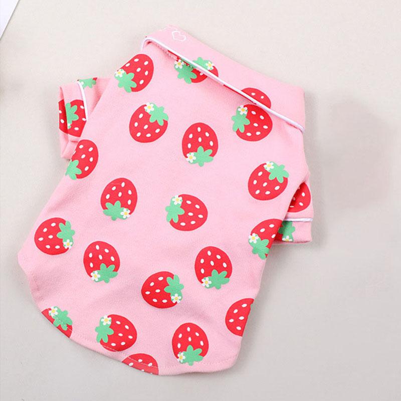 Spring Cat Costume Cute Cozy Pet Clothes for Cats Katten Kedi Hoodie Mascotas Gato Sweatshirt Cat Sweater Pets Clothing Outfit