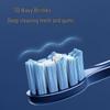 FLYCO Smart Sonic Electric Toothbrush CN plug (adapter included)