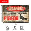 1PC Tin Sign Funny Pigeon Warning - Pigeon Coop/Bird Lover Gifts, No Trespassing Metal Yard Sign, 8x12 Inch