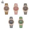 Oushijia Women's Luminous Waterproof Quartz Steel Watch
