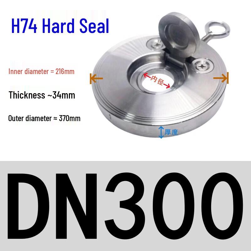 Rongyu 304 Stainless Steel Wafer Swing Check Valve DN300