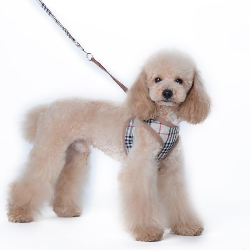 Pet Dog Chest Anti-stranglehold Traction Rope Adjustable Set
