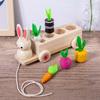 Wooden Rabbit And Carrot Play Set For Kids Encouraging Interactive Learning And Parent Child Bonding