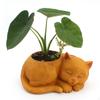 Resin Material Art Plant Flower Pot Desktop Sleep Cat Planter Vase Container for Small Herbs