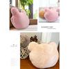 Cute Bear Ear Plush Pillow