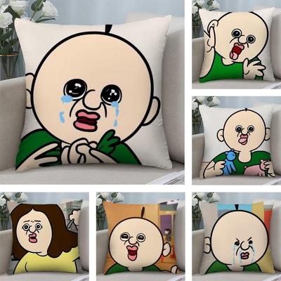 Funny Bbangbbangs Diary Cushion Cover Soft Plush Fabric Double-Sided Printed Sofa Cushion Cover For All Seasons Home Decor Gift