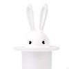 Adorable Toothpick Holder, Whimsical Plastic Storage Solution for Dining
