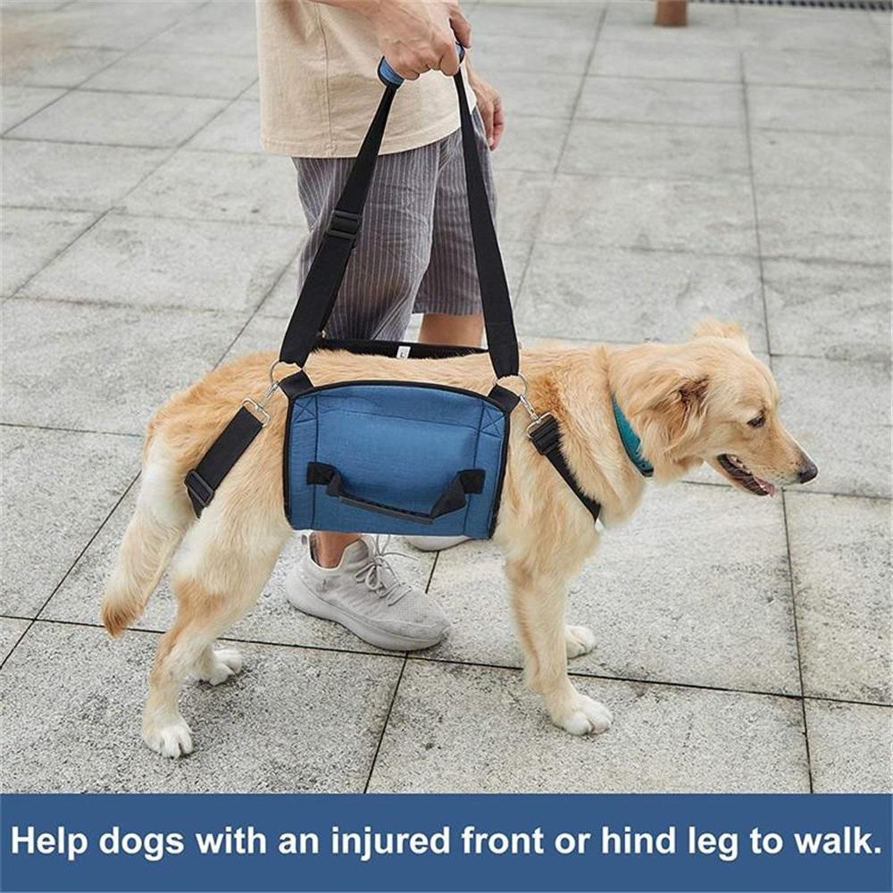 Imbracatura Di Supporto Per Cani Cintura Assistita Per Cani Per Gambe Anteriori E Posteriori Gilet Di Recupero Per Animali Domestici Cinturino Elastico Regolabile Per Cani Da Passeggio - AliExpress