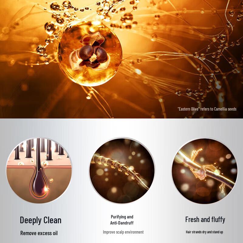 Siyuan Men's Tea Seed Oil Control Anti-Dandruff Shampoo