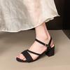 Fashion 2025 new High Heels Sandals Women Summer Shoes Women Fashion Open Toe Buckle Sandals Casual Square Heel Female Shoes