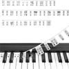 Silicone Piano Stickers: 88-Key Staff Learning Guide for Pianos and Keyboards