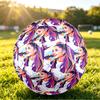 Ariana Grande Size 5 Soccer Ball, Durable Standard Football For Training Match Outdoor Sports