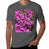 Creeping Phlox Tshirt T Shirts For Unisex Cotton Funny Tshirt