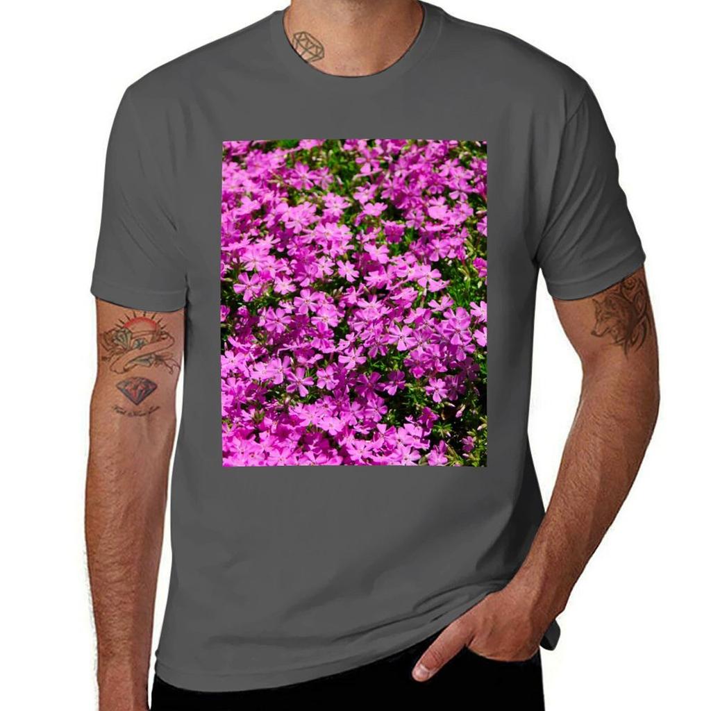 Creeping Phlox Tshirt T Shirts For Unisex Cotton Funny Tshirt