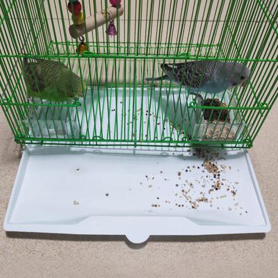 100ks Papíry na vložku do klece pro papouška pro ptáky Jednorázové absorpční klece s vysokou pevností Polštář pro ptáky