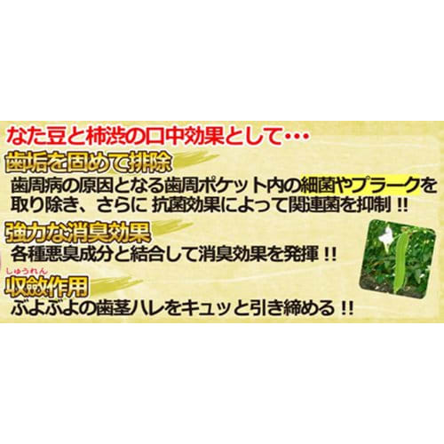 Natamame Refreshing Persimmon Tannin Toothpaste 120g