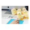 Yoshinori Riku No Friends Plush Toy Chick 180444