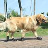 Botas impermeables de goma para perros, zapatos antideslizantes para cachorros, suministros para mascotas, 4 Uds.