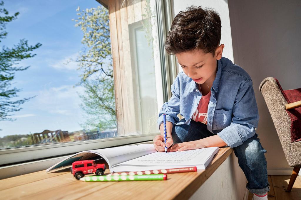 STABILO Easy Color Watercolor Pencils, Right-Handed, 12 Colors, 332-12