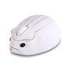 Cute Wireless 2.4G Mouse Hamster Designed Creative Mause Ergonomic USB Optical 1200 DPI Mini Mice Kid Gifts For PC Laptop