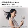 Panasonic Ionity Hair Dryer with Dual Mineral Negative High Fast Modern Gray & Ions, Compact, Airflow, Lightweight, Drying, EH-NE8N-H