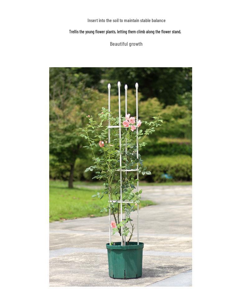 Free Shipping Clematis & Rose Climbing Frame Plant Support