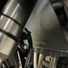 For Kawasaki Ninja 1000 SX 1000SX 2020~2024 2023 Radiator Guard Grille Cover Protector Motorcycle Accessories Cooler Protection