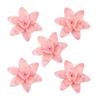 5 Stück Harzblumen-/Blattverzierungen Schmuckherstellung Zubehör Haaraccessoires Kits
