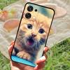 For OPPO F31 A6 A 6 Pro 5G CPH2781 Case Cool Lion Fashion Painted Matte Soft Silicone TPU Cover For OPPO A6Pro 4G Phone Case