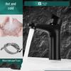 TLXT Edelstahl Waschbeckenarmatur