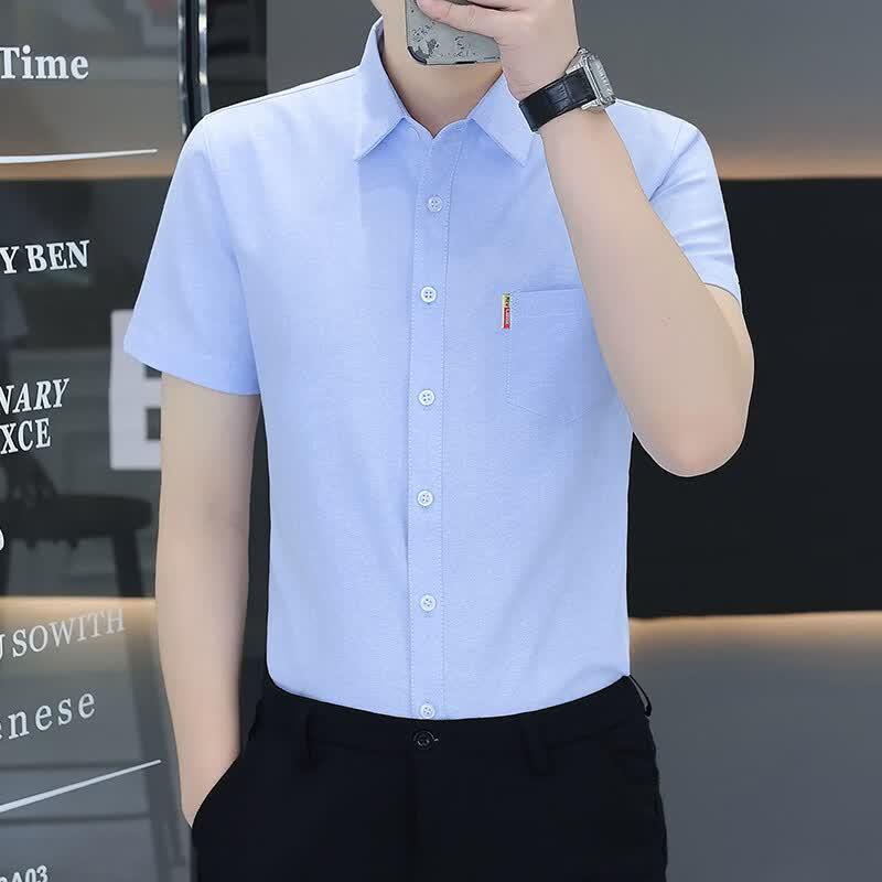 Pierre Cardin Men's Summer Wrinkle-Free Short Sleeve Business Casual Shirt