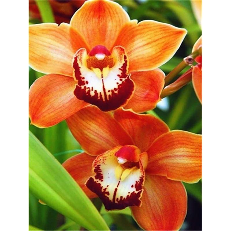 New 5D DIY Animal Diamond Painting Flower Diamond Embroidery Scenery Cross Stitch Crafts Full Round Drill Home Decor Gift