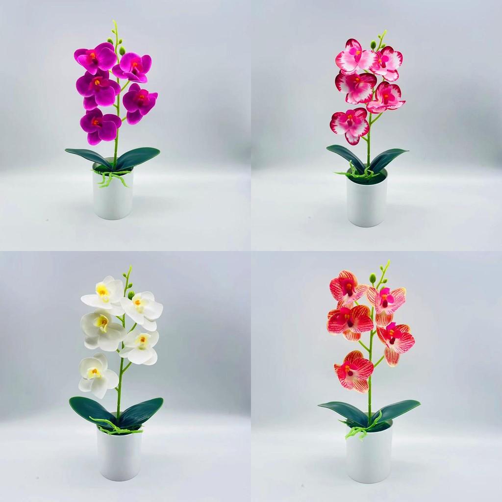 Artificial Phalaenopsis Aphrodite Plant With Silk Flowers For Home Decor And Gift Idea