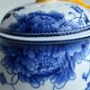 Teapot 350ml Blue and White Flower Porcelain Tea Pot with Infuser Classic Water Pot Peony noble