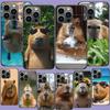 Capas para telemóveis – Para-choques para smartphones
