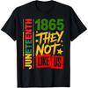 Juneteenth Shirt 1865 Freedom Day Black History Graphic Tee
