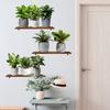 3 stk./Sæt Kunstige Grønne Planter Potteplante 3D Vægklistermærker Stue Kontor Dekoration Vandtætte Selvklæbende Klistermærker