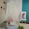 Ceiling Hanging Dome Mosquito Net: Encrypted Folding Princess Net for Homestay