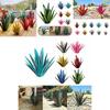 Tequila Rustic Metal Sculpture Diy Agave Plant Decor Garden Yard Home Decor