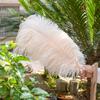10PCS Ostrich Feathers 35-60cm Black Ostrich Feather for Diy Wedding Table Centerpiece Home Vase Decoration Crafts High Quality