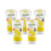 [Camille] Fresh Hand Cream 75ml*5