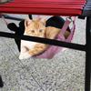 Winter Sommer Zwei Seiten Multifunktionale Tragbare Atmungsaktive Netz Haustier Hängematte Hängebett für Katzen Hunde(Rosa S)
