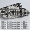 Skull Buckle Rhinestone Studded Belt Trendy Waistband  Jeans Short Skirt Women Men Accessories
