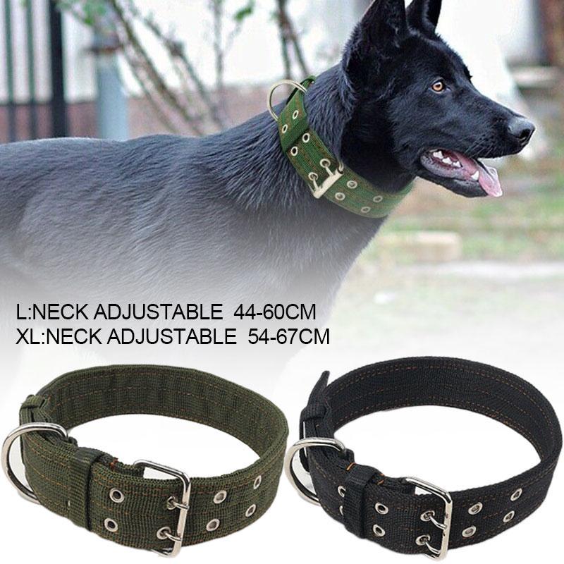 xlarge dog collars