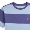 Polo Ralph Lauren Striped Crew Neck Short Sleeve T-Shirt Kids Tops Light-Blue 323971158-001