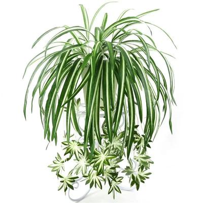 65cm Artificial Plants Wall Hanging Chlorophytum Potted Green Plants PVC Fake Plants Simulation Flower Living Room Decor
