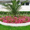 1Set Plastic Garden Edging Border Fence Imitation Stone Landscape Edging for Flower Beds Pathways Lawn Decorative Flexible DIY