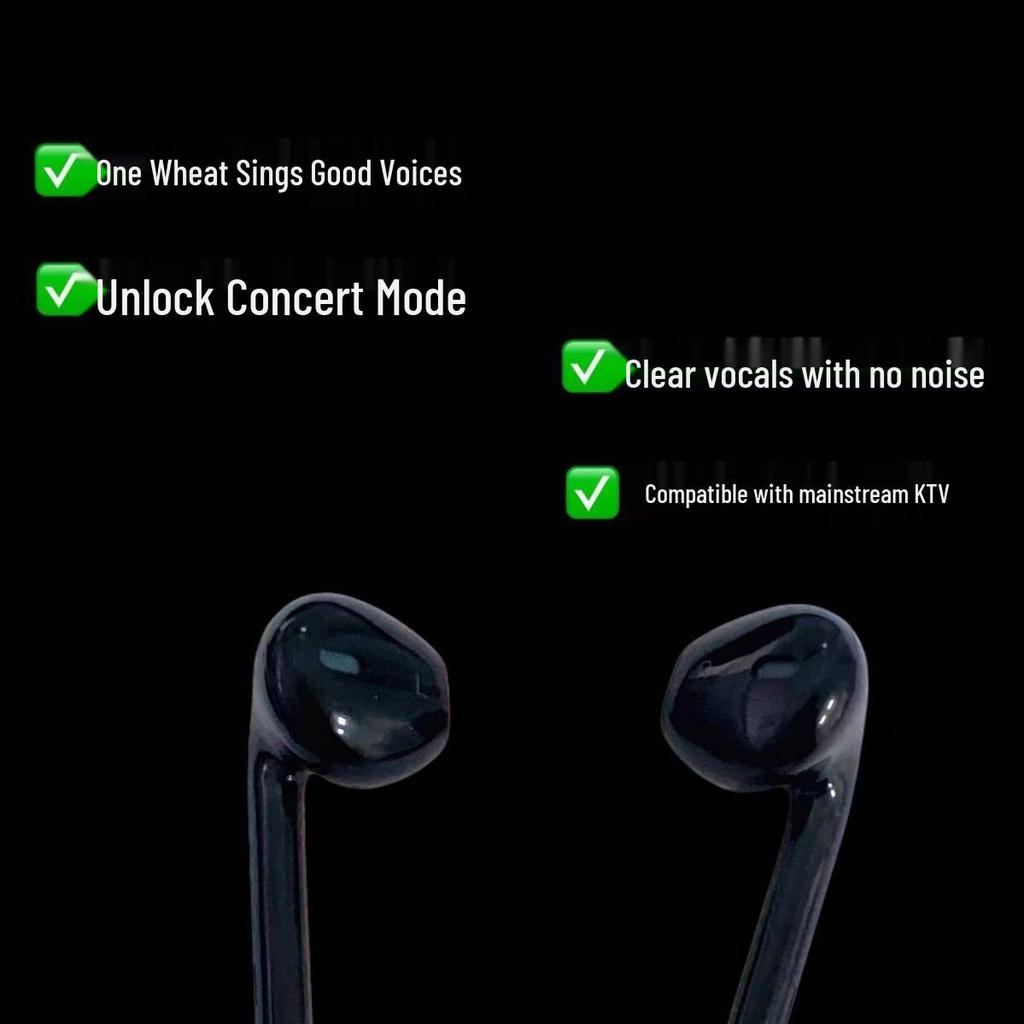 Live Broadcast Wired In-Ear Headphones for Singing, Recording, Gaming & Monitoring