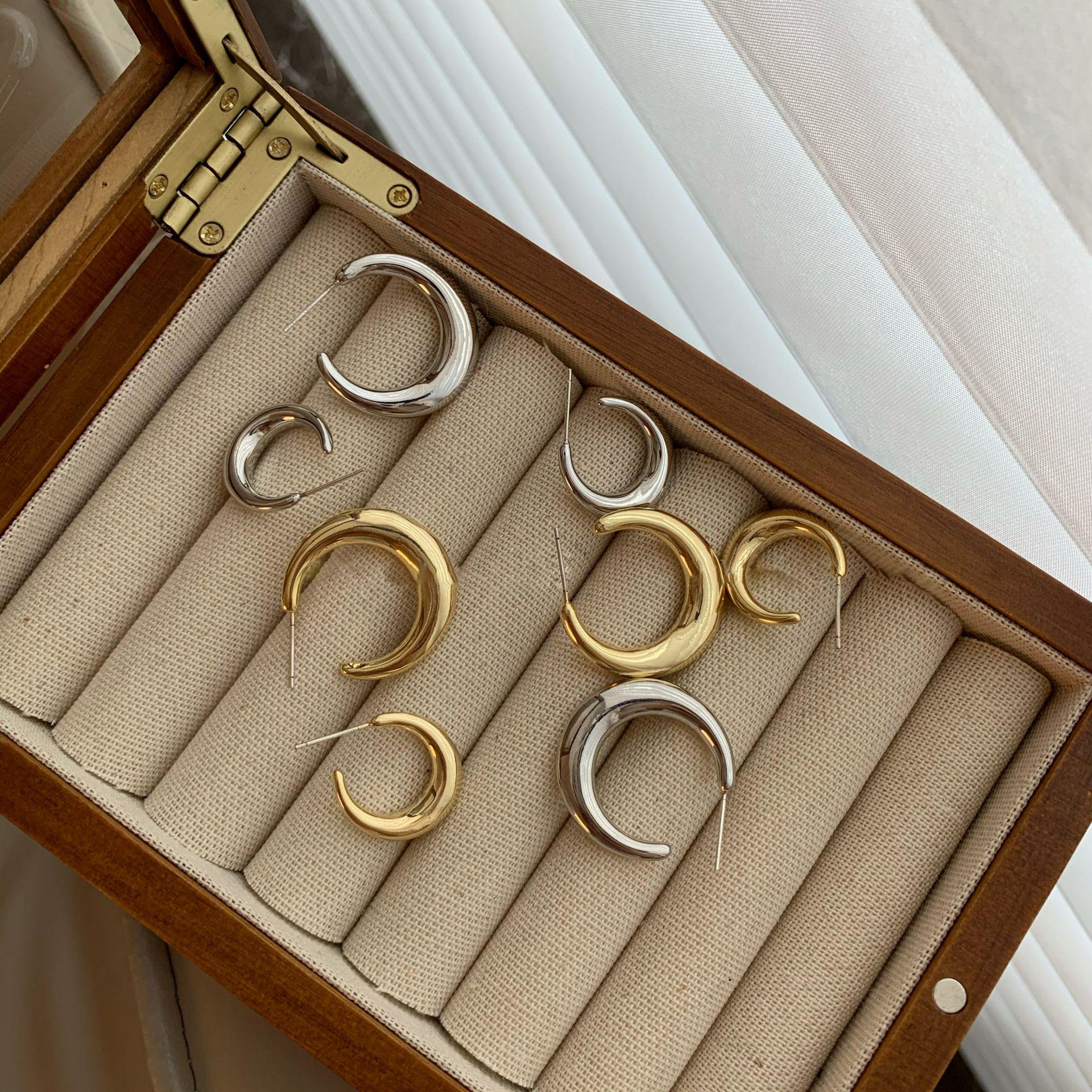 

Silver Circle Hoop Earrings - 2023 Trendy Light Luxury Studs with Niche Design for Women