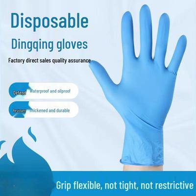Shixun Nitrile Food-Grade Disposable Gloves